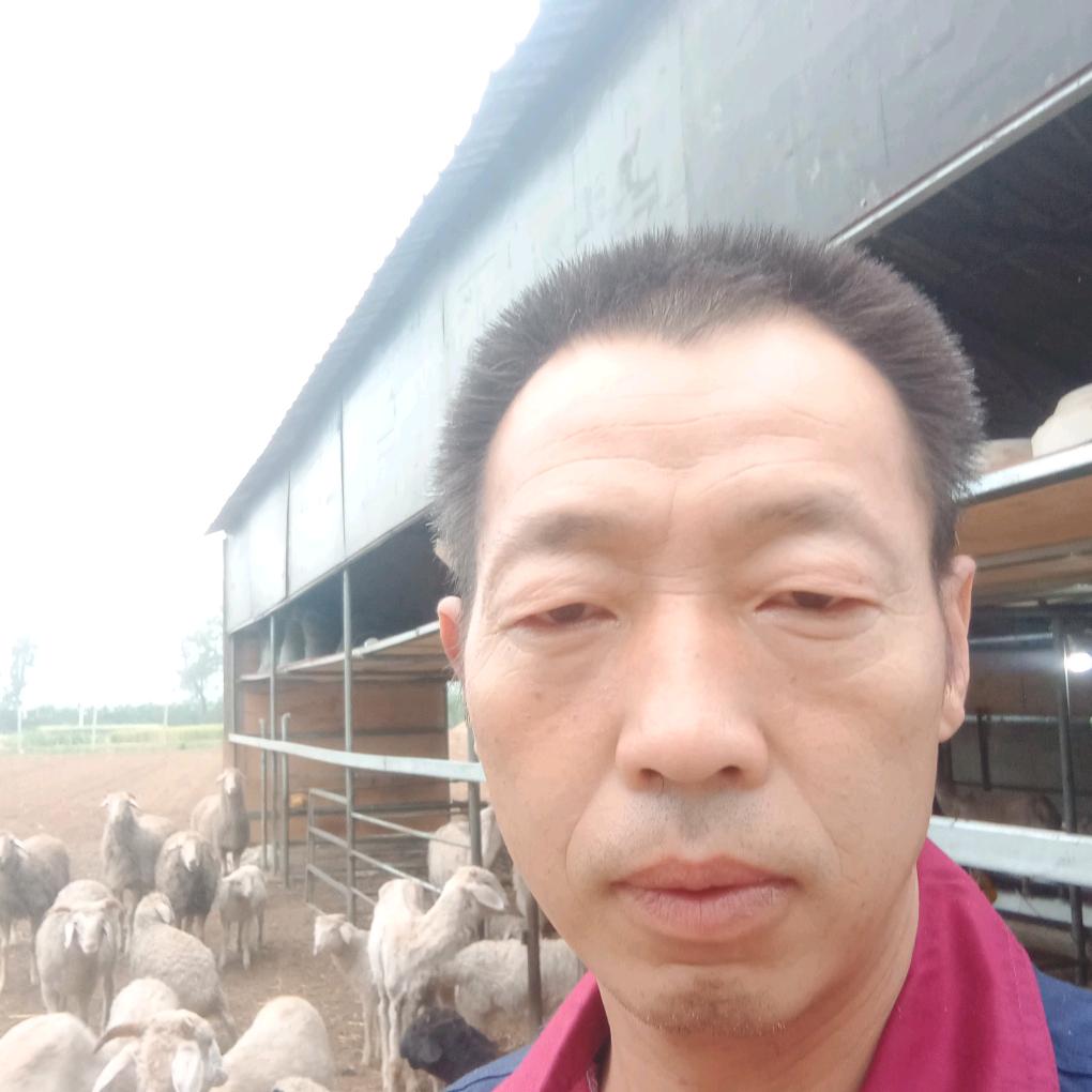 常小涛