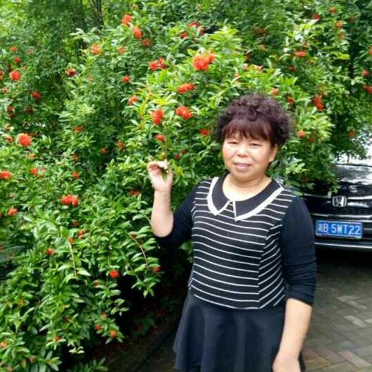 薛立花