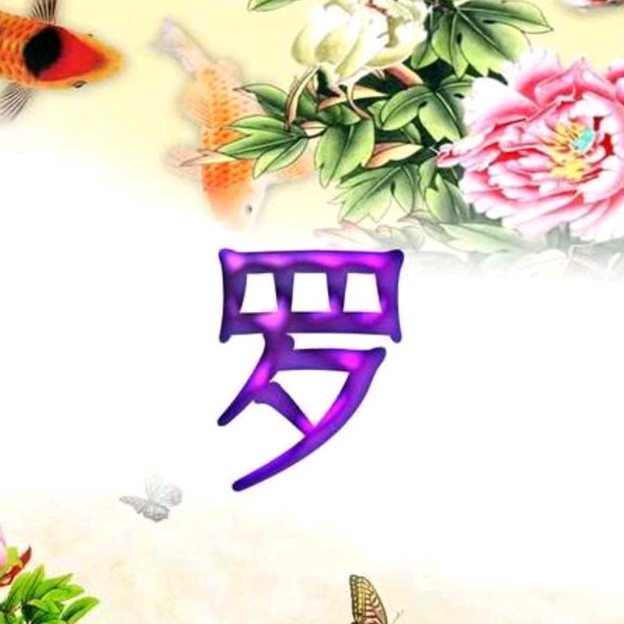 小罗罗