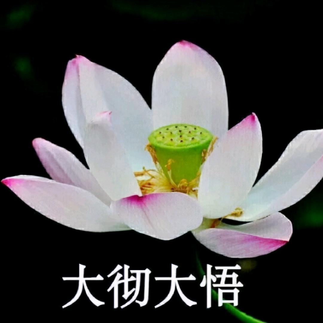 缘定今生，