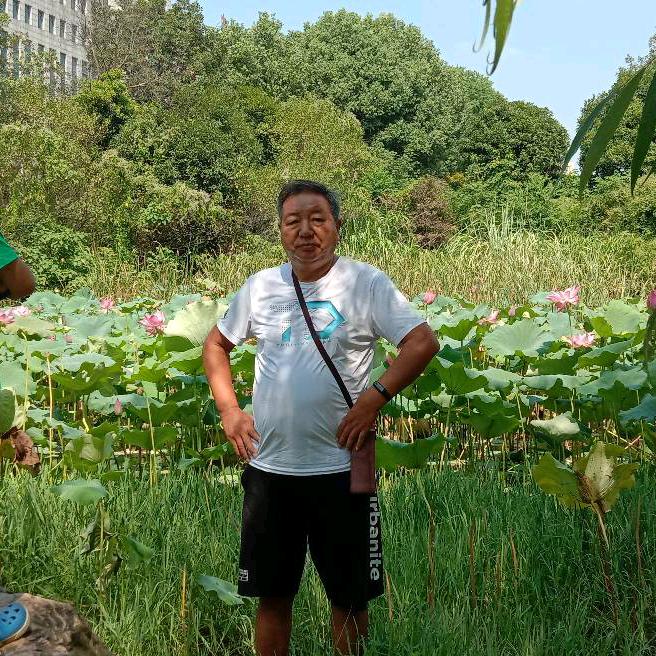 神雕大侠