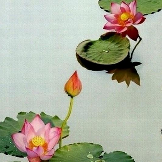 先预胜慧