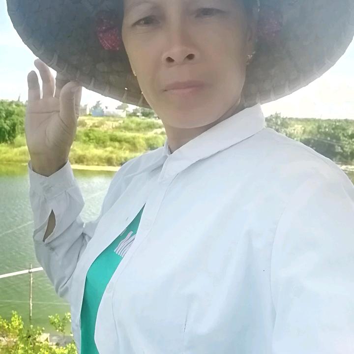 红花朵朵