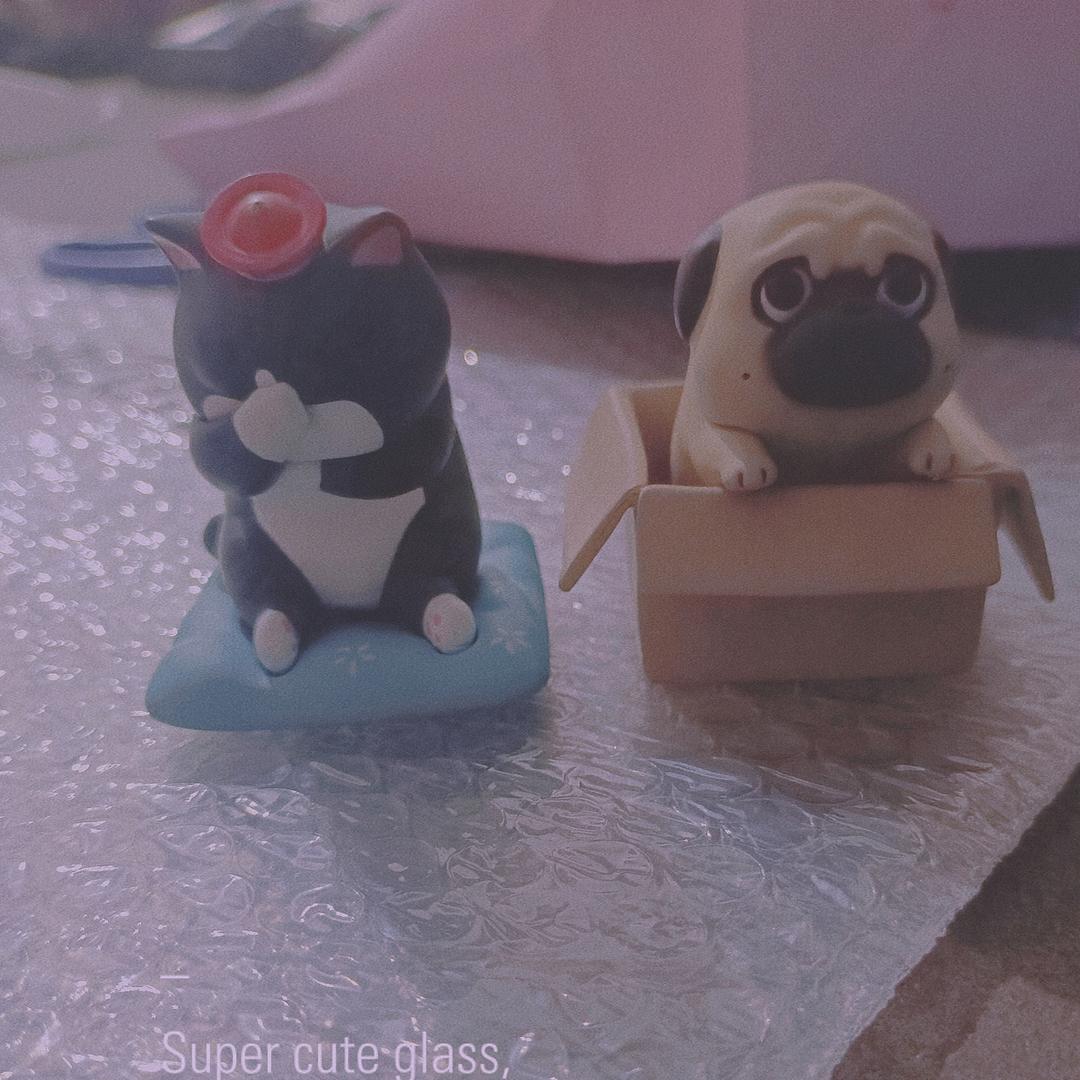 小独（长沙收发中通快递）