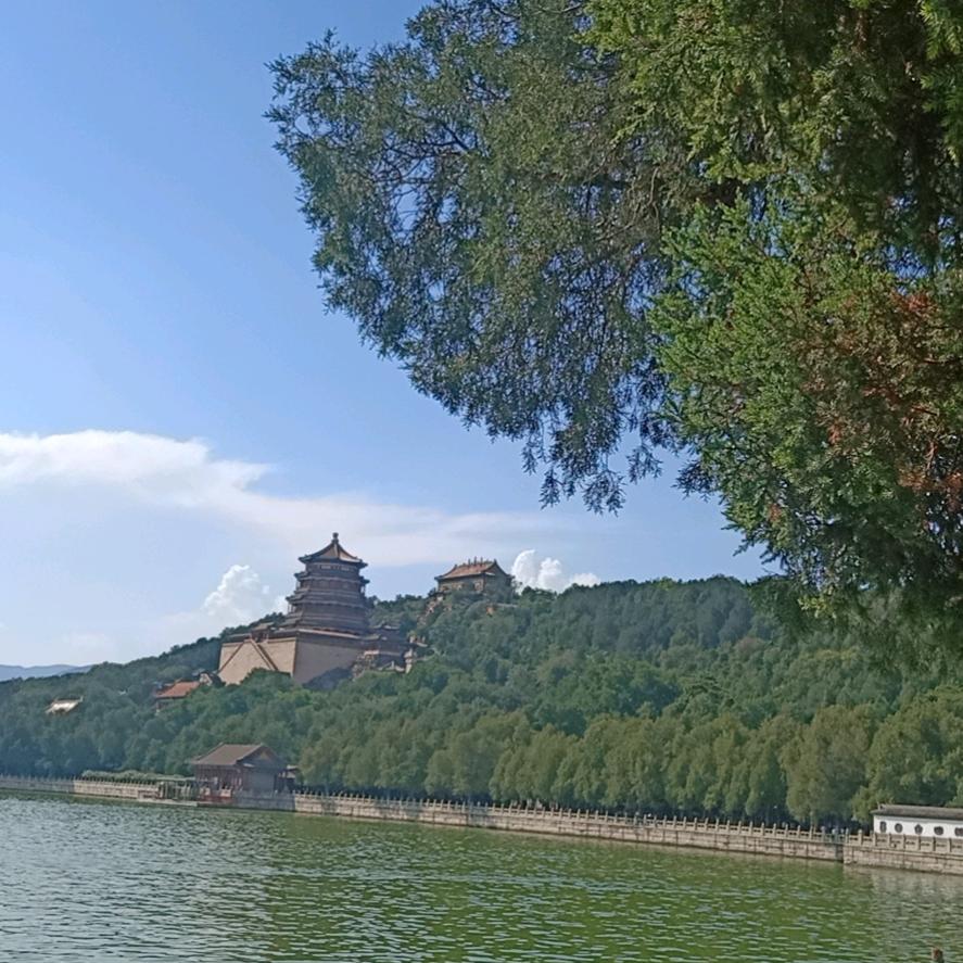 一帘幽梦