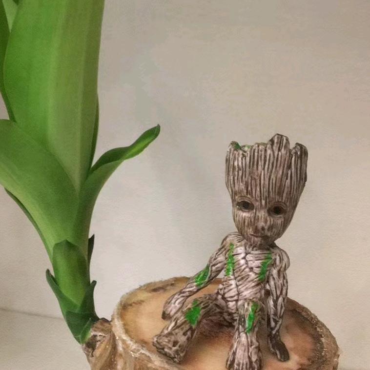 🌾🌧️小小萤火虫