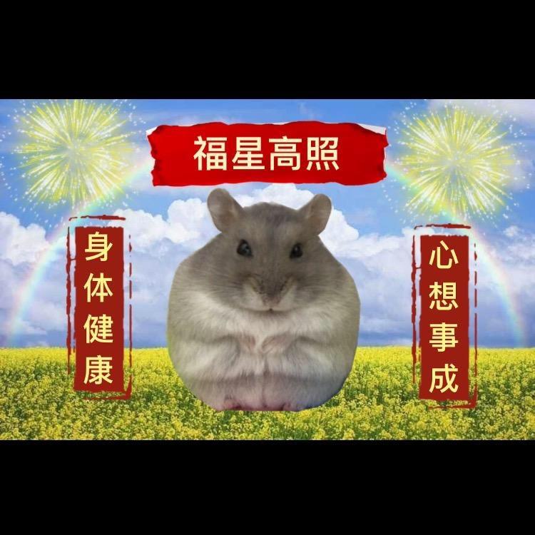 小小布丁