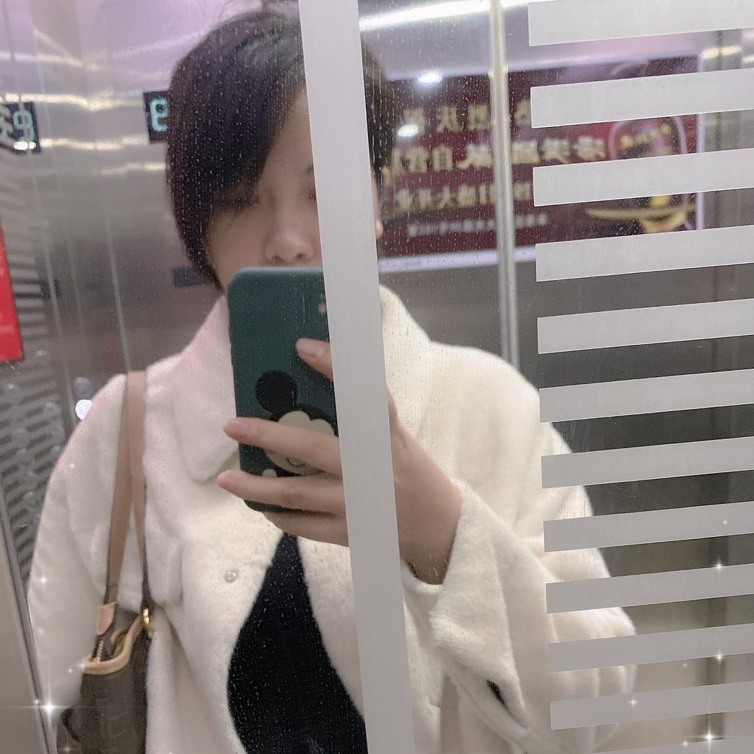🌈✨会飞的小猪