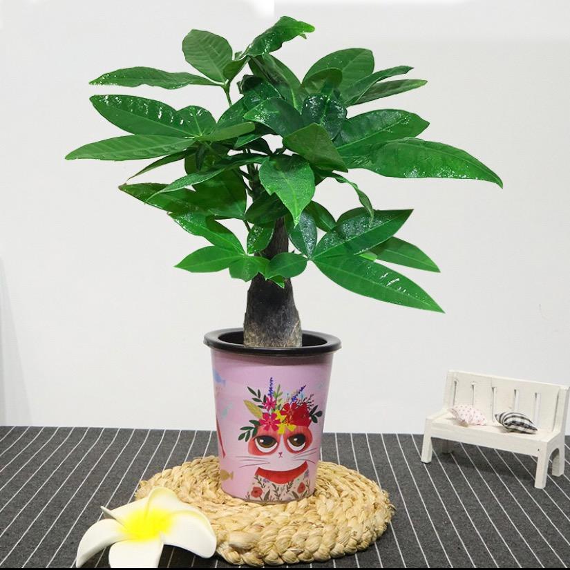 伟跃花卉店