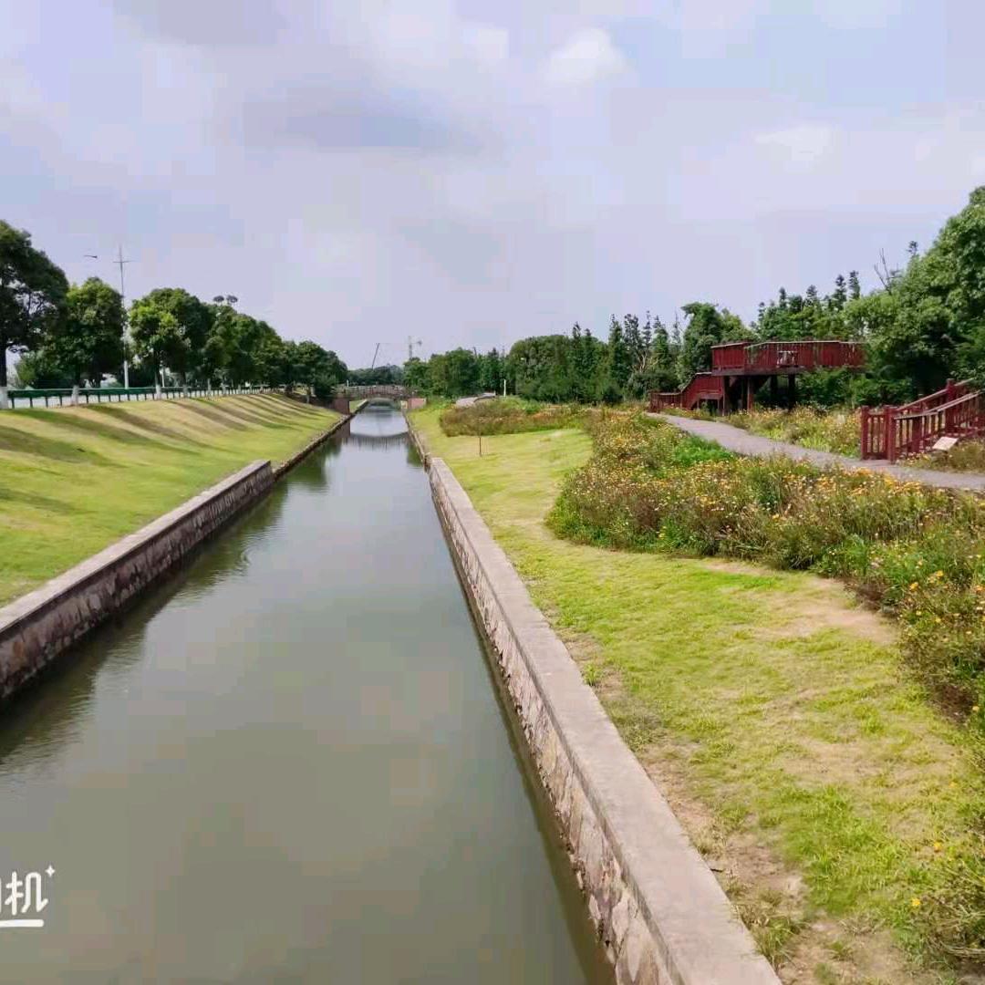 大象骑蚂蚁慢跑看世界