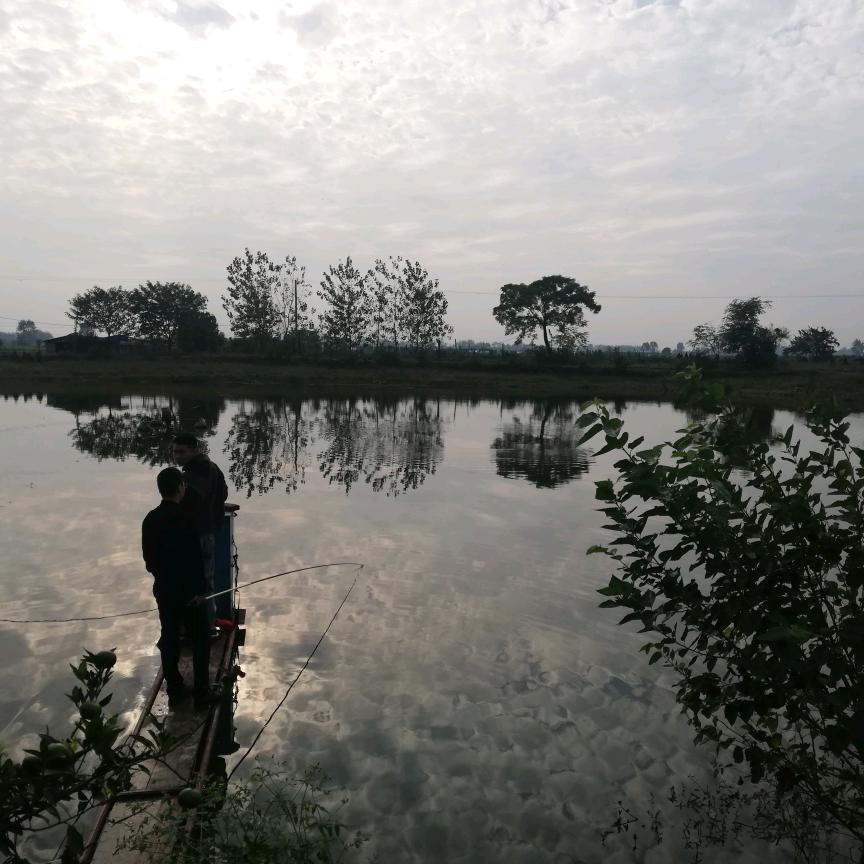 ⁵⁴³冰心❤️