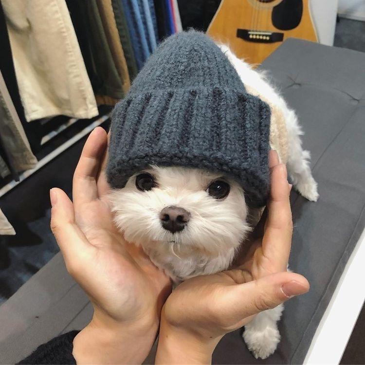 批批来也