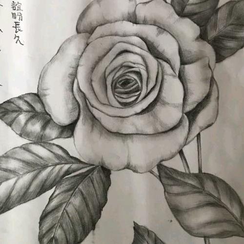 铁血浪漫