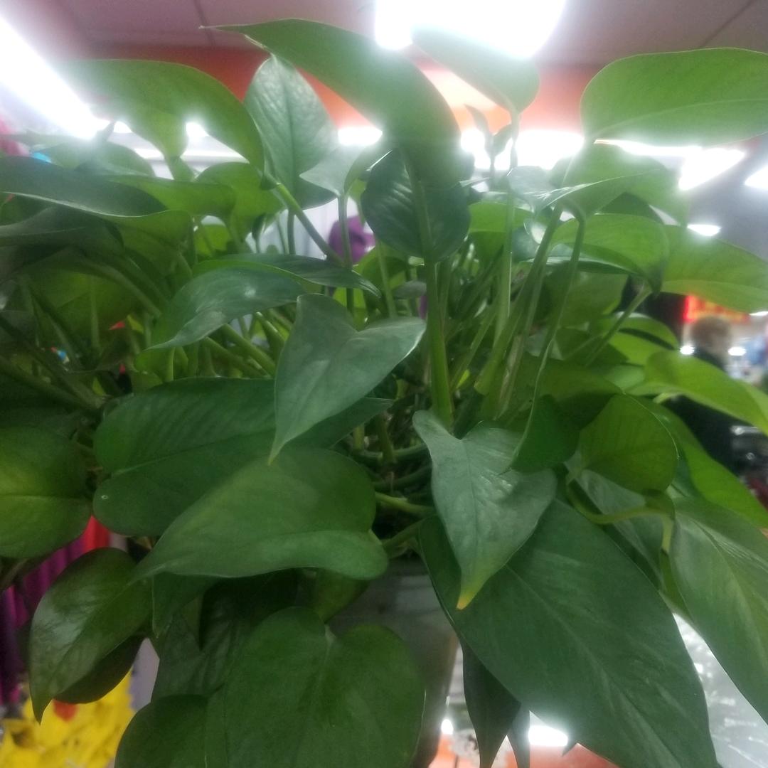 刘庆荣