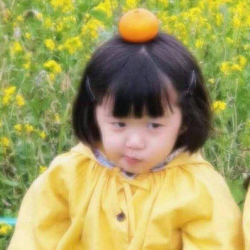 晓彤