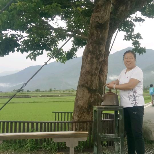 雨蝶美美放飞自我成就