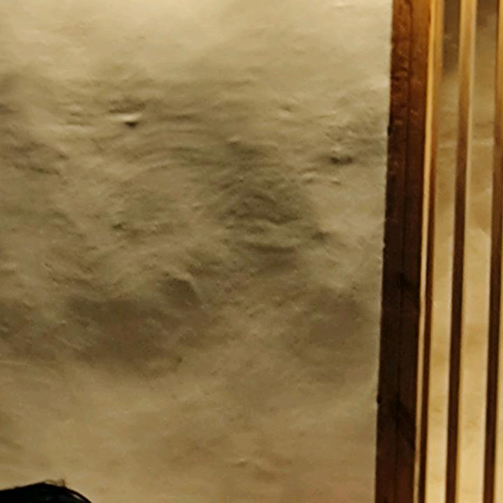 自由自在