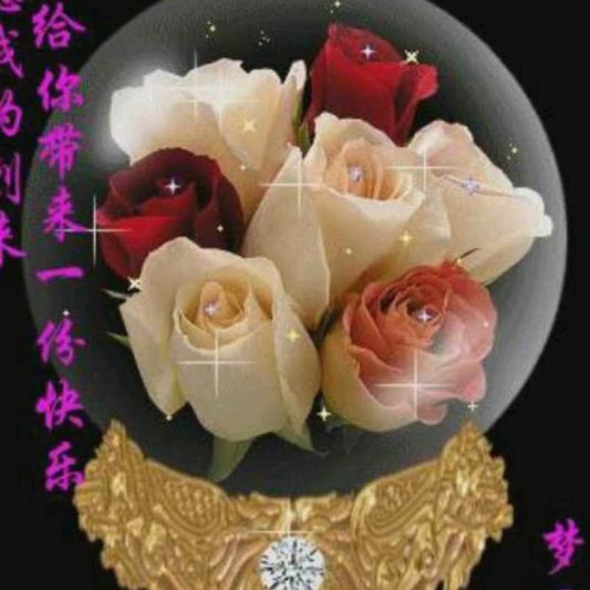 努力（梦圆乐队）