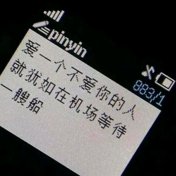 衡水小霸王（腰缠万贯，绯闻不断）