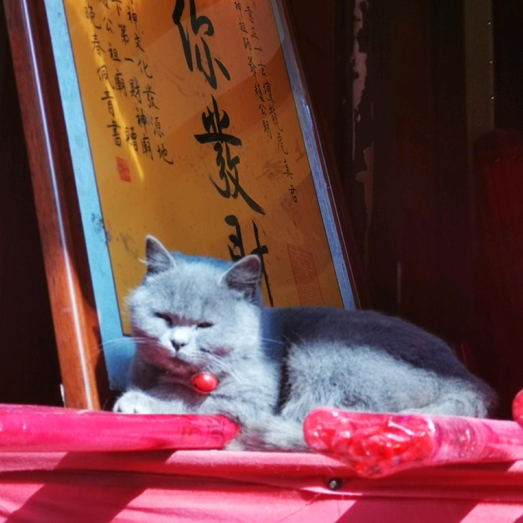 向蓉蓉家小厨房