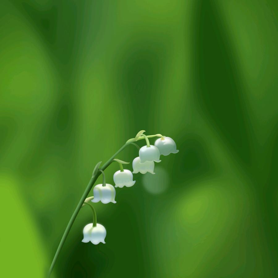 淡然于心