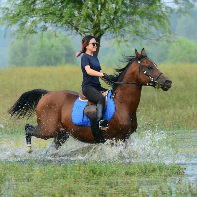 廊坊极地马业🐎玮玮