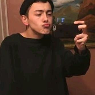 太阳花的向日葵