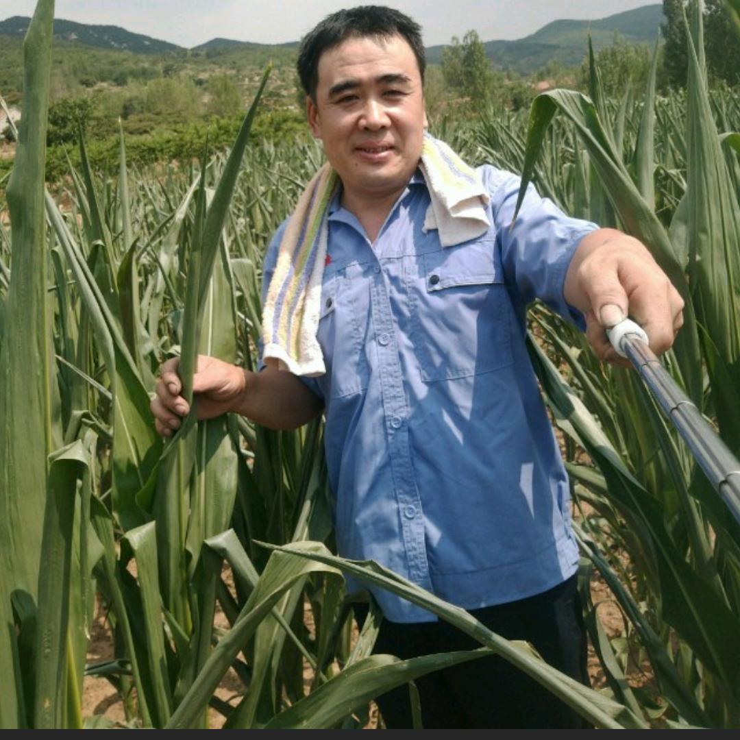恒玖栾哥