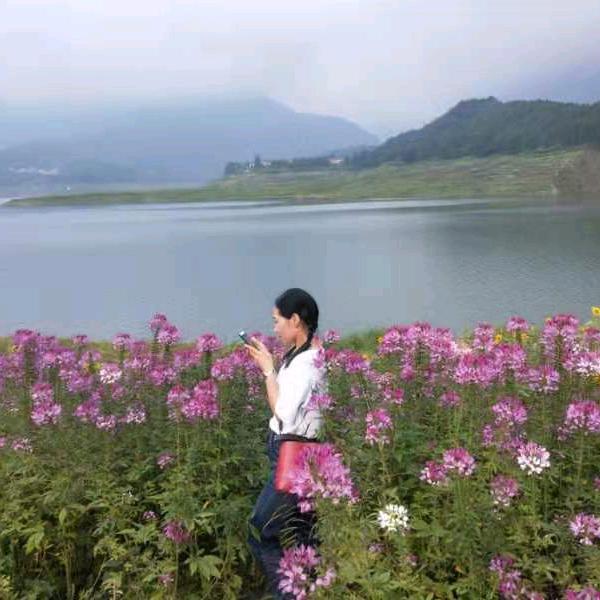 唐唐