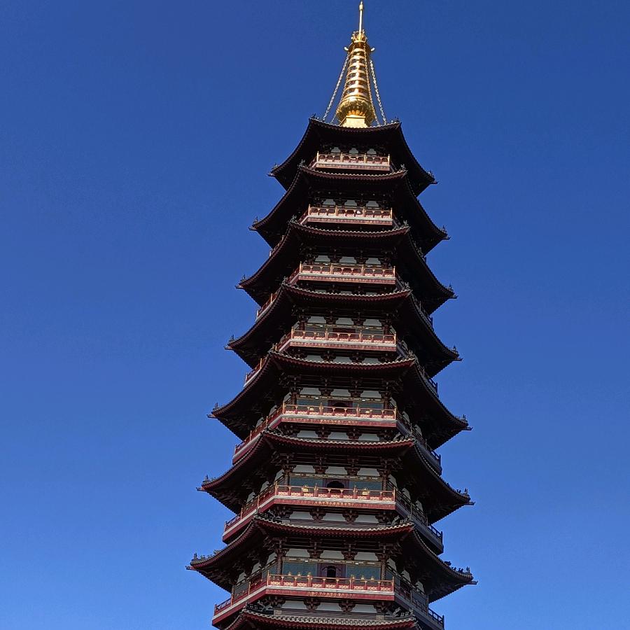 ༺༽༾ཊ  全 ࿈ 哥  ཏ༿༼༻