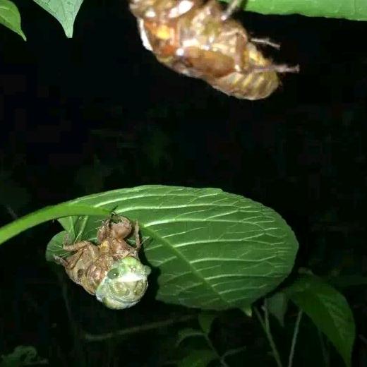 不知不觉就老了