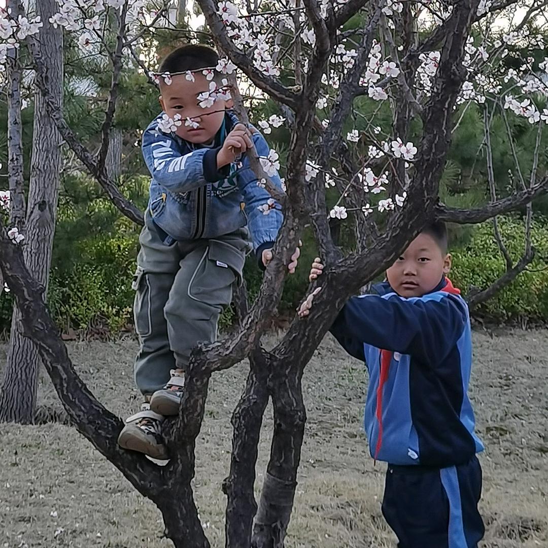 随风飞舞