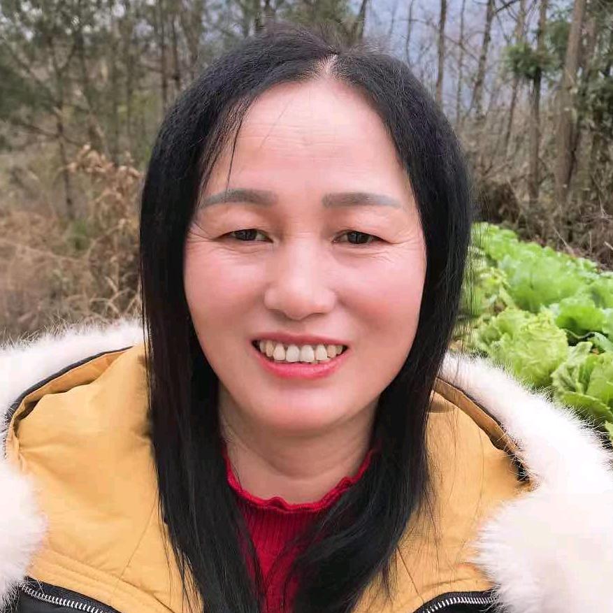 二支梅