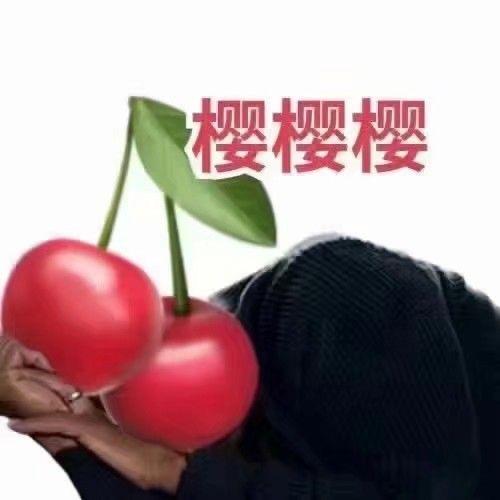 肥宅修修