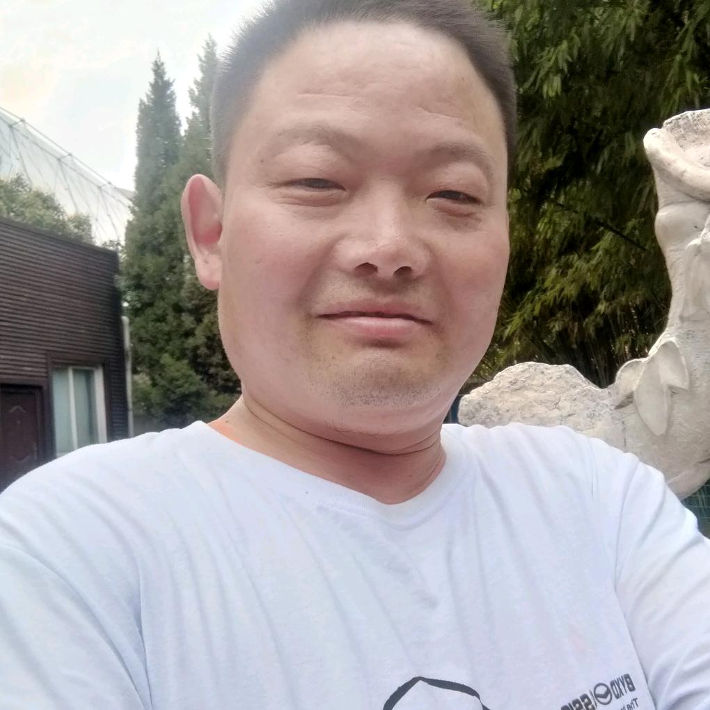 平岗西马永林专业放礼炮。