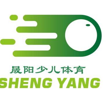 晟阳少儿体育乒乓球