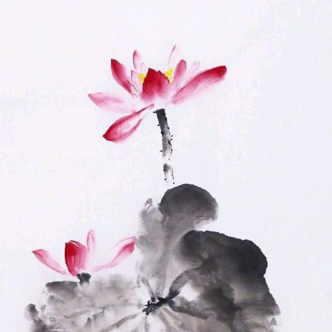 雨儿