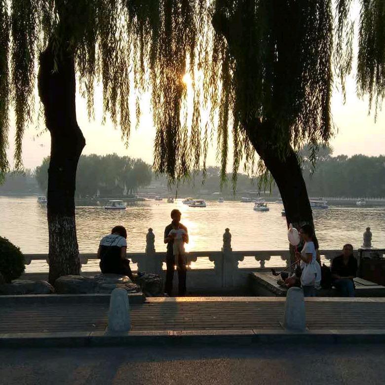 欢乐的百斯特（头条best）