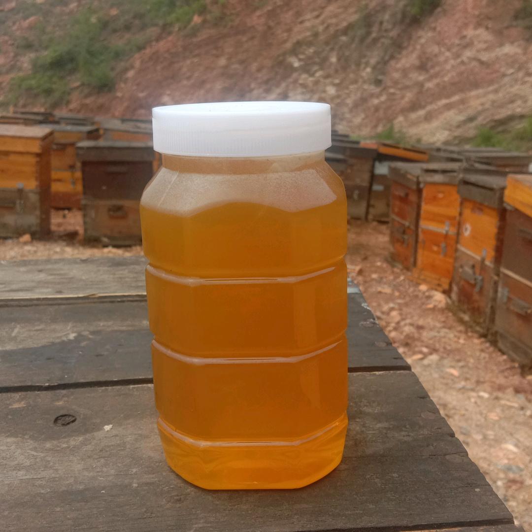 YMNL      花香蜜纯