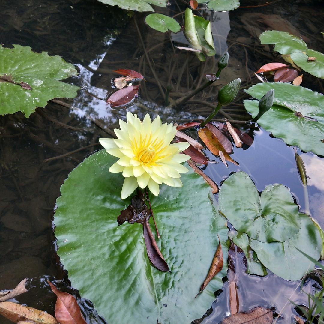🌈🌈纪某某🌸🌸