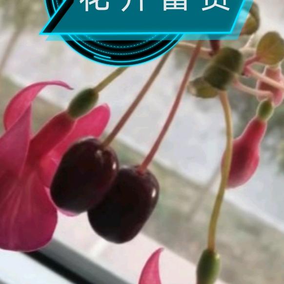 这个江湖有点冷