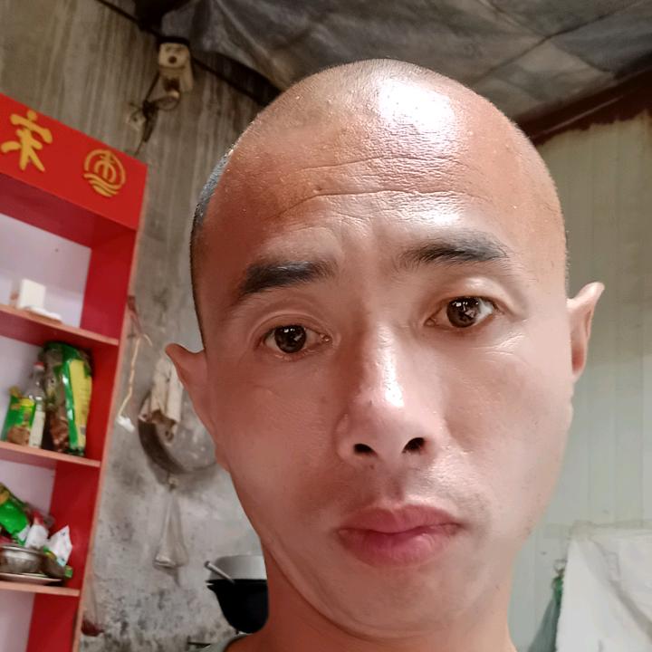 飛哥聊养兔