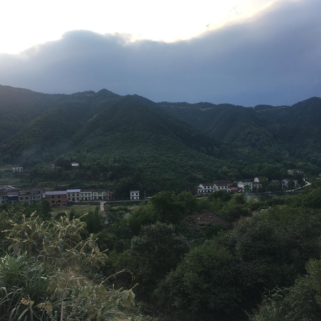 樹斌