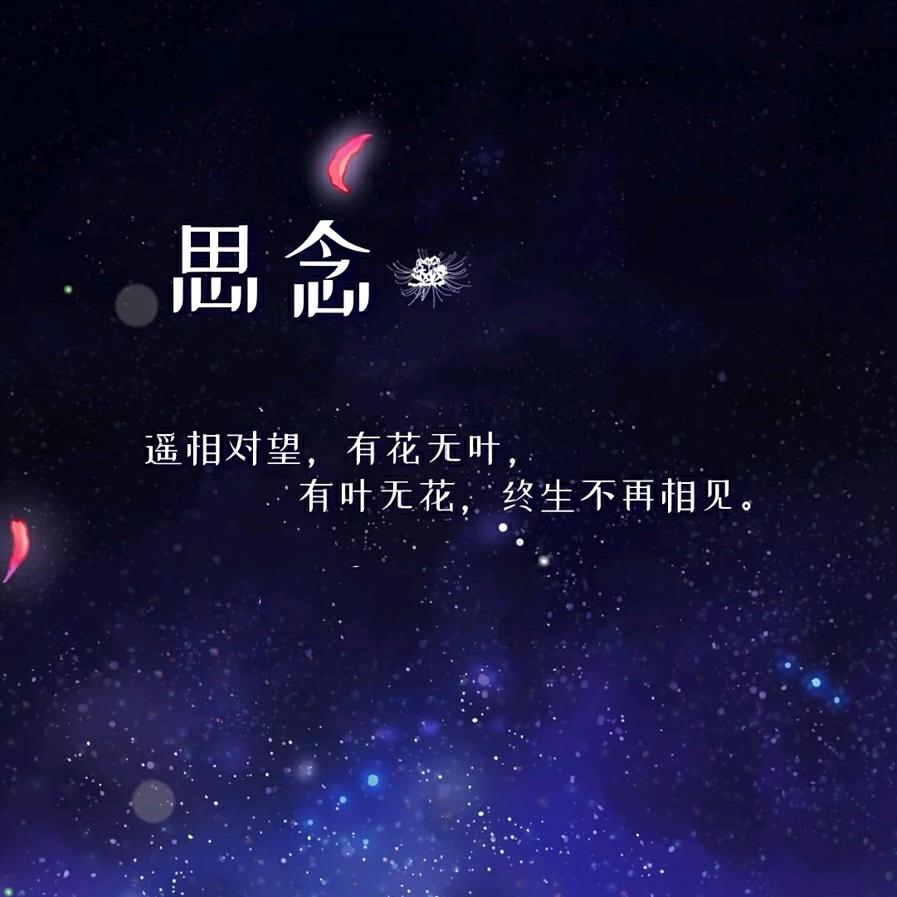 后山后殿，广结善缘
