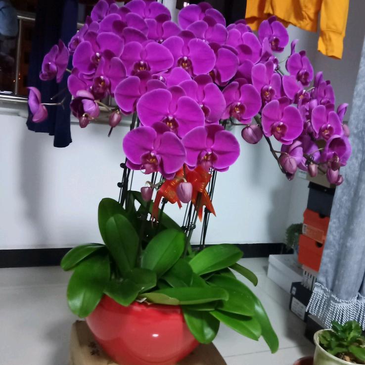 简单＝快乐