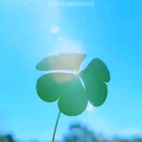 大宝大宝宝