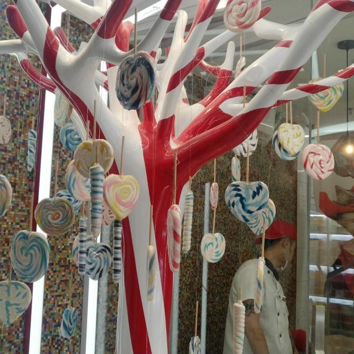 美丽人生🧒🏻