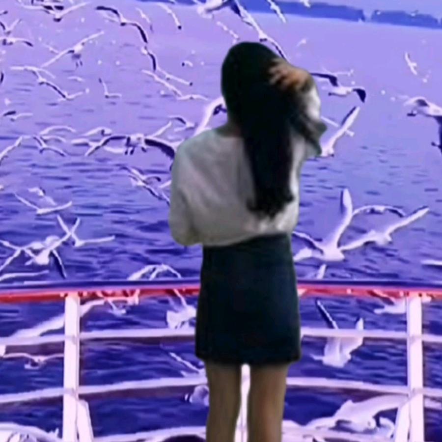 凤翔九天