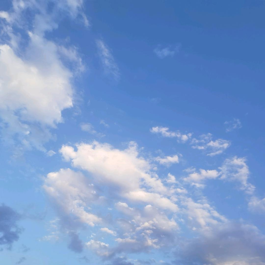 文戈