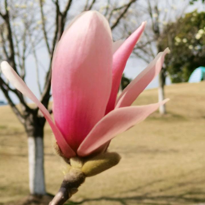 爱喜